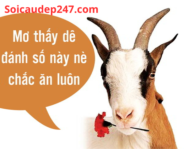 Mơ Thấy Dê Là Điềm Gì?
