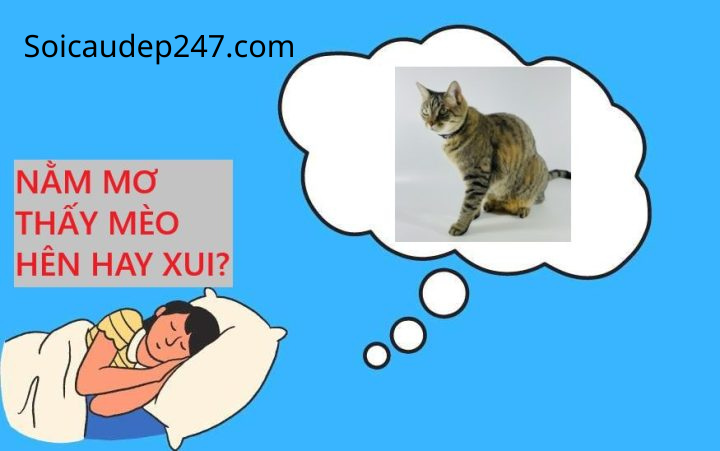 Mộng Thấy Mèo Chạy Vào Nhà
