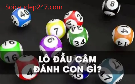 Kinh Nghiệm Chơi Đánh Đầu Câm